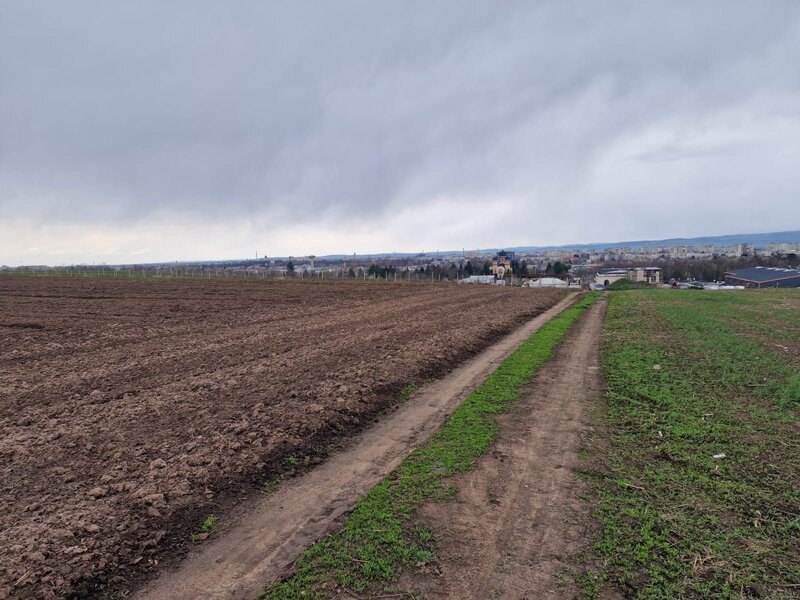 Teren 10.000mp Bacau, strada Alexandru Safran