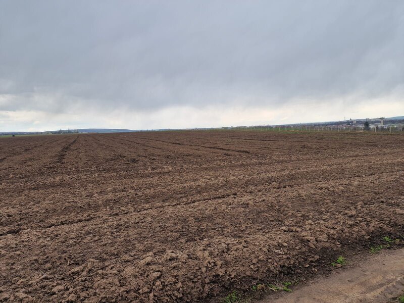 Teren 10.000mp Bacau, strada Alexandru Safran