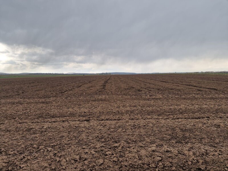 Teren 10.000mp Bacau, strada Alexandru Safran