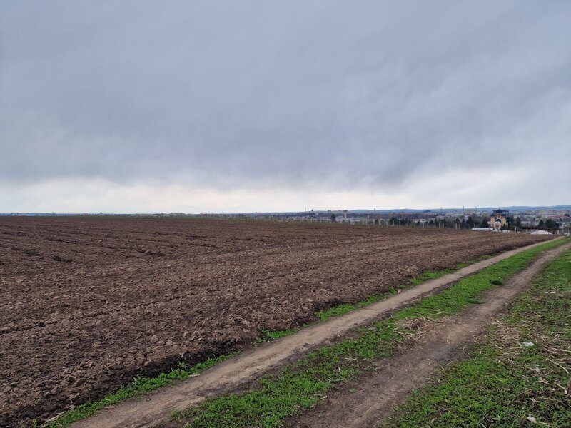 Teren 10.000mp Bacau, strada Alexandru Safran