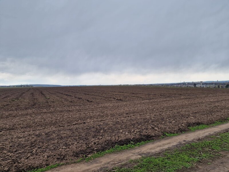 Teren 10.000mp Bacau, strada Alexandru Safran