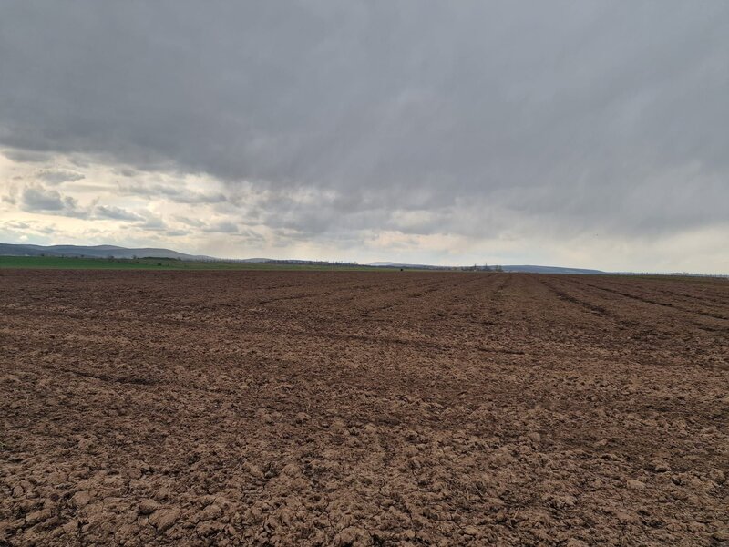 Teren 10.000mp Bacau, strada Alexandru Safran