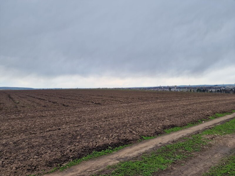Teren 10.000mp Bacau, strada Alexandru Safran