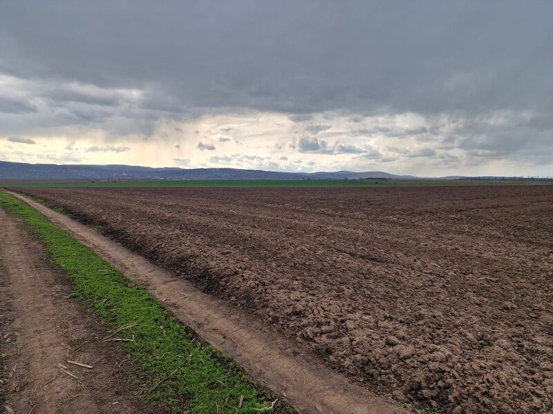 Teren 10.000mp Bacau, strada Alexandru Safran