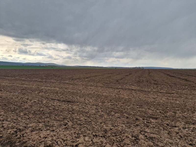 Teren 10.000mp Bacau, strada Alexandru Safran